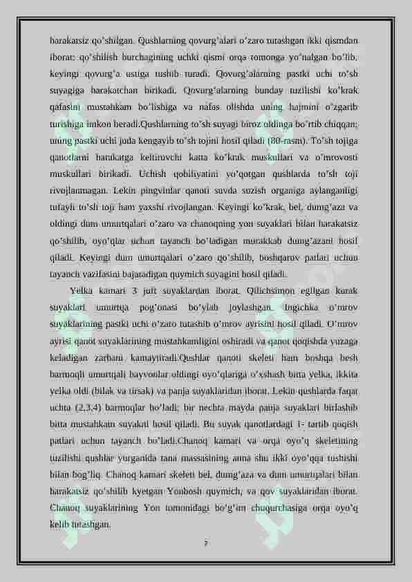 CHUMCHUQSIMONLAR TURKUMI VA ULARNING TARQALISHI 6