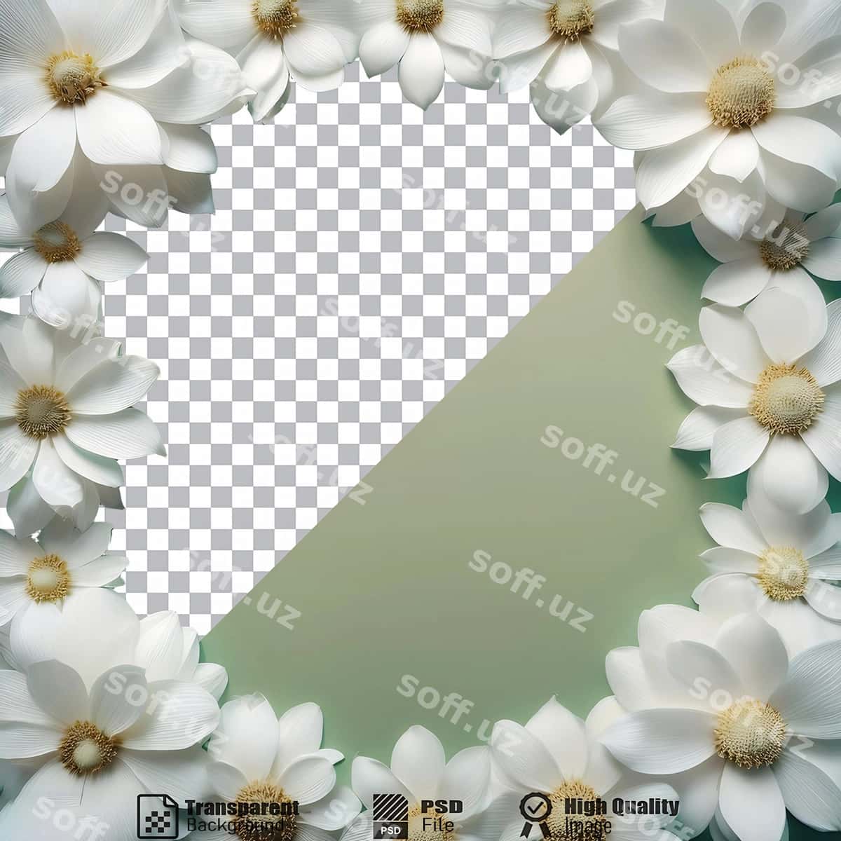Doira, oq gulari, ramkalar, bo'sh joy | Circle white flowers frames blank space 1