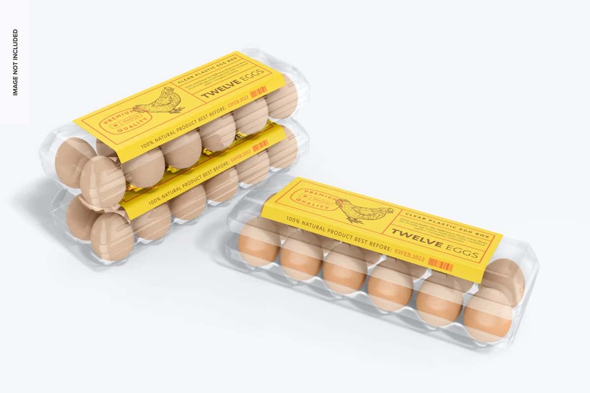 Shaffof plastik tuxum qutisi maketi istiqboli | Clear plastic egg box mockup perspective 1