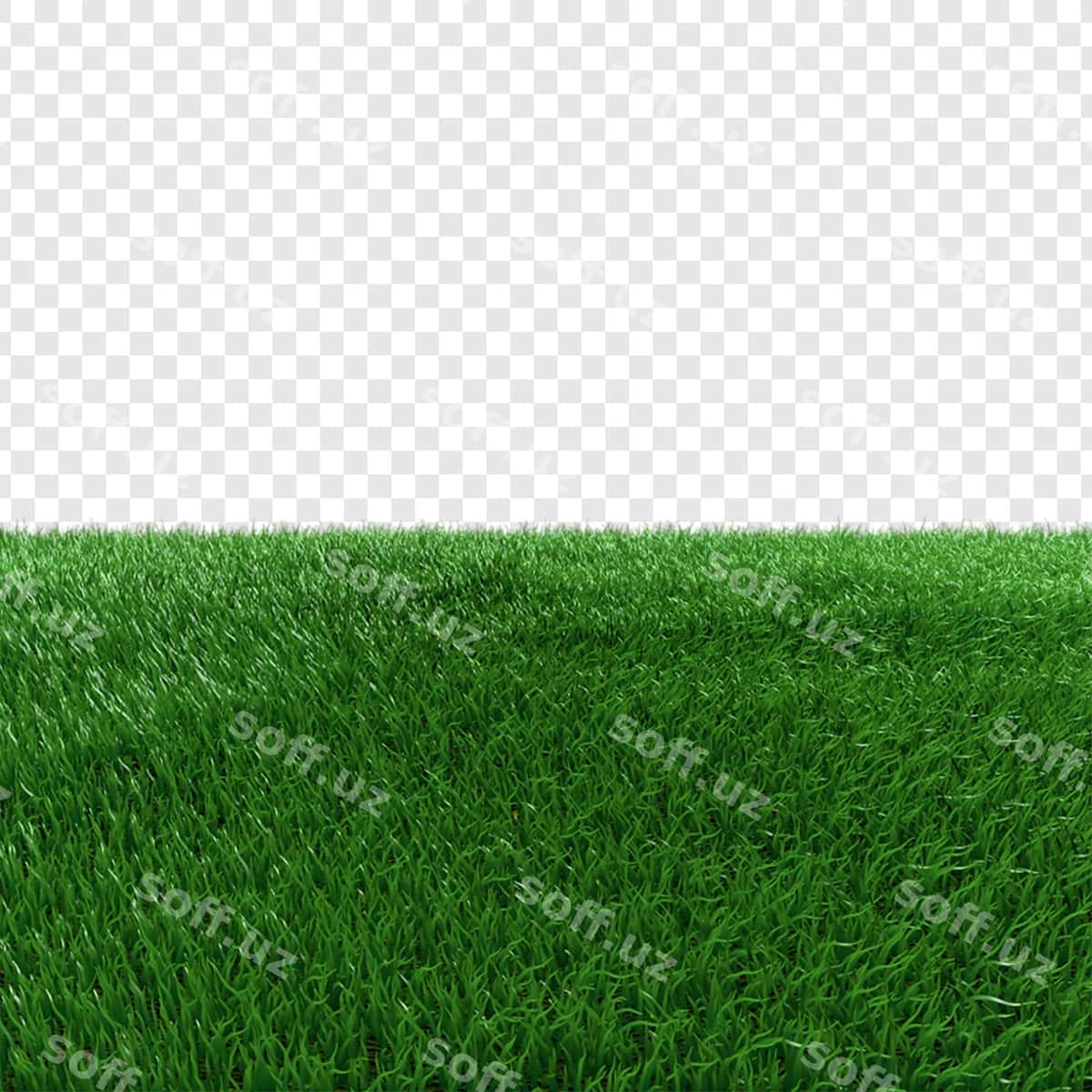 Yaqin qarashda parlak yashil chaman | Close up vibrant green grass 1