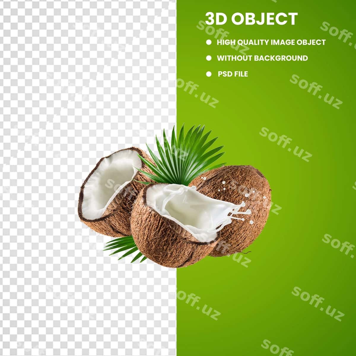 Kokos | Coconut 1