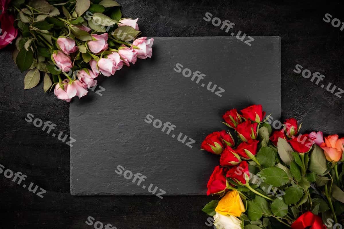 Rangli gullar | Colorful roses 1
