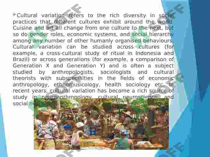 Cultural varitation 2