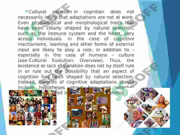 Cultural varitation 3
