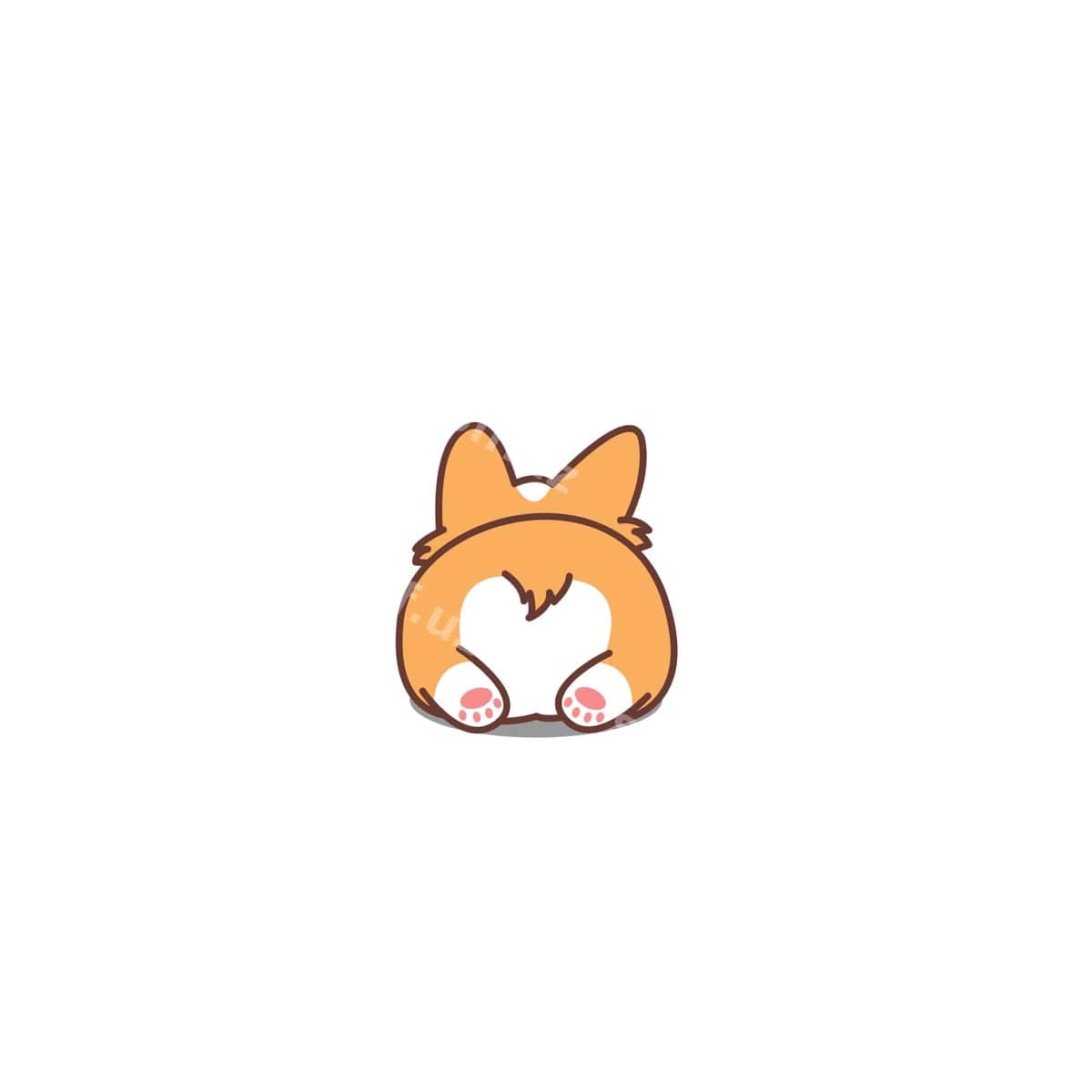 Mazali korgi orqiqi | Cute corgi butt 1
