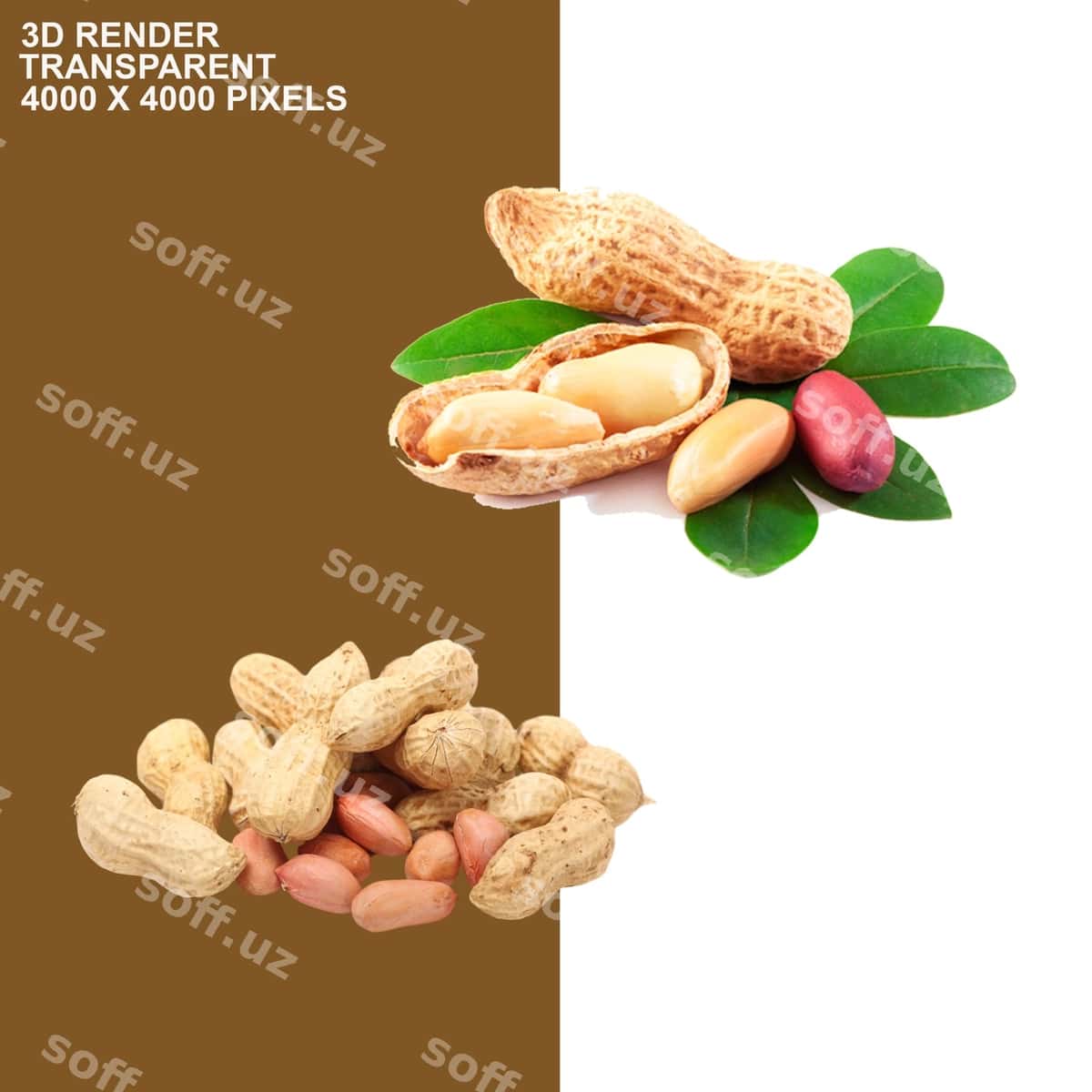 Quruq meva shaffof fonda | Dried fruits transparent background 1