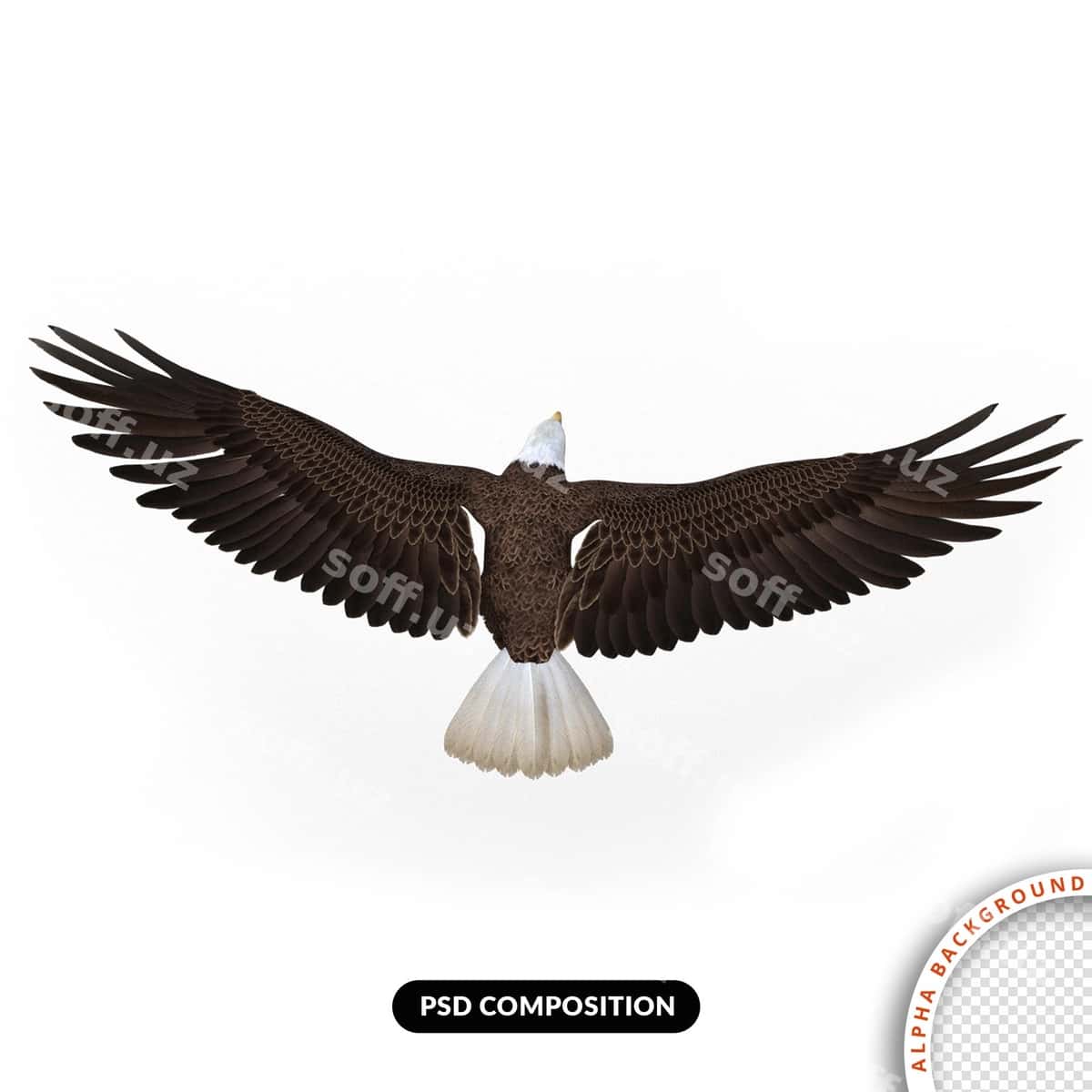 Burgut uchish 3d render | Eagle flying 3d render 1