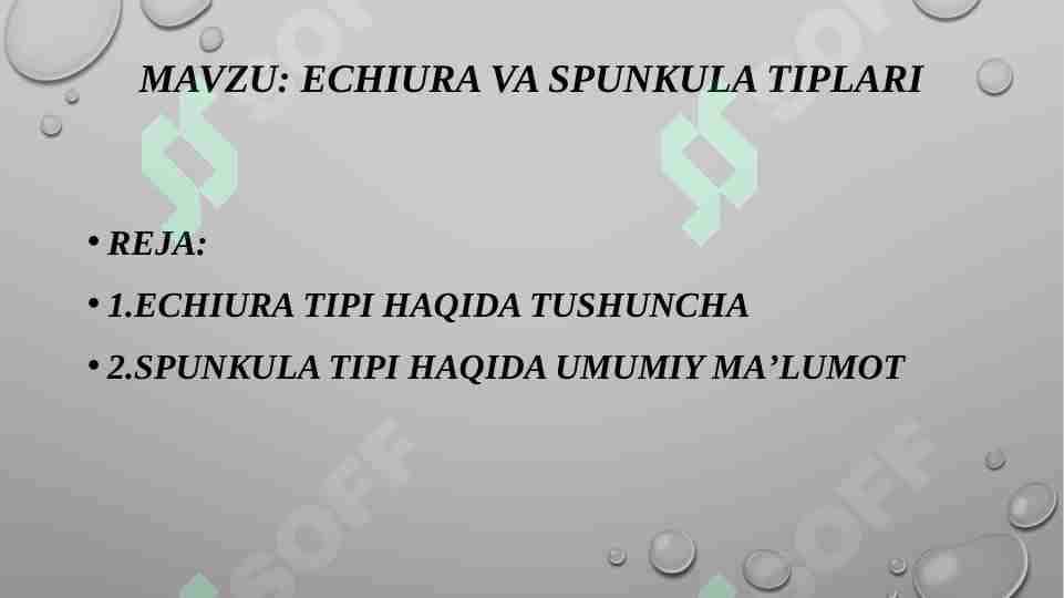 Echiura va Spunkula tiplari