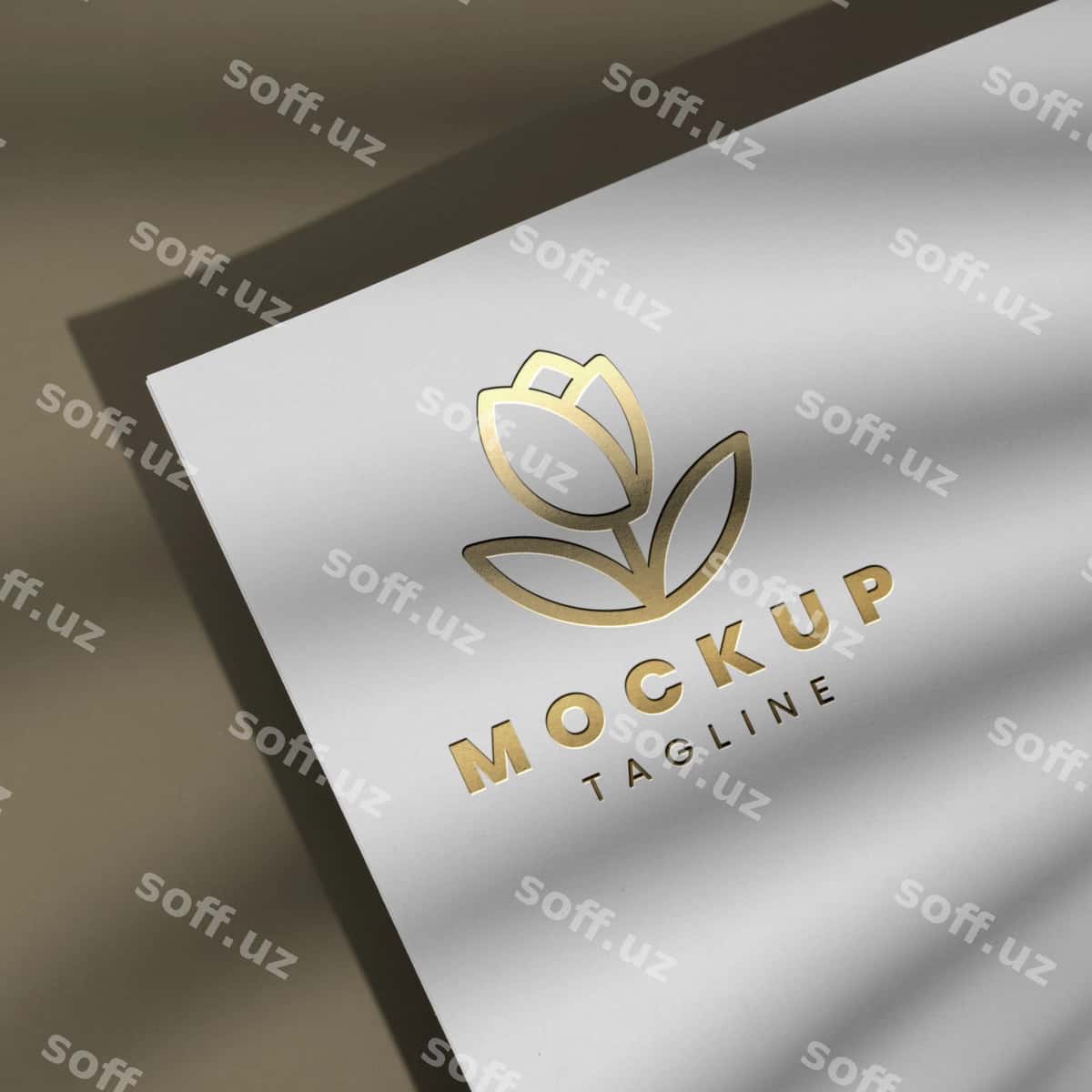 Effekt logotip detali namunasi | Effect logo detail mockup 1