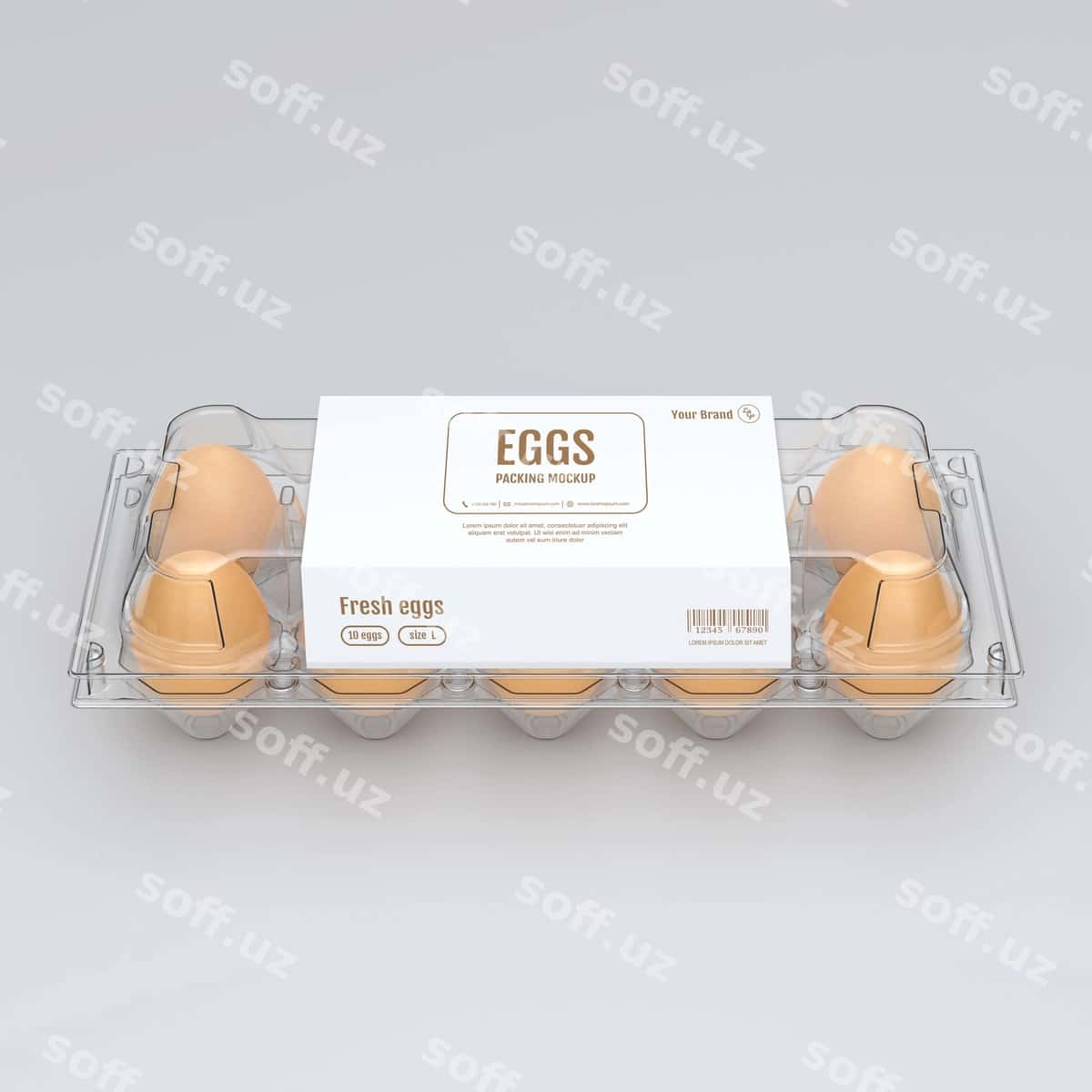Tuxmatlar modeli | Eggs mock up 1
