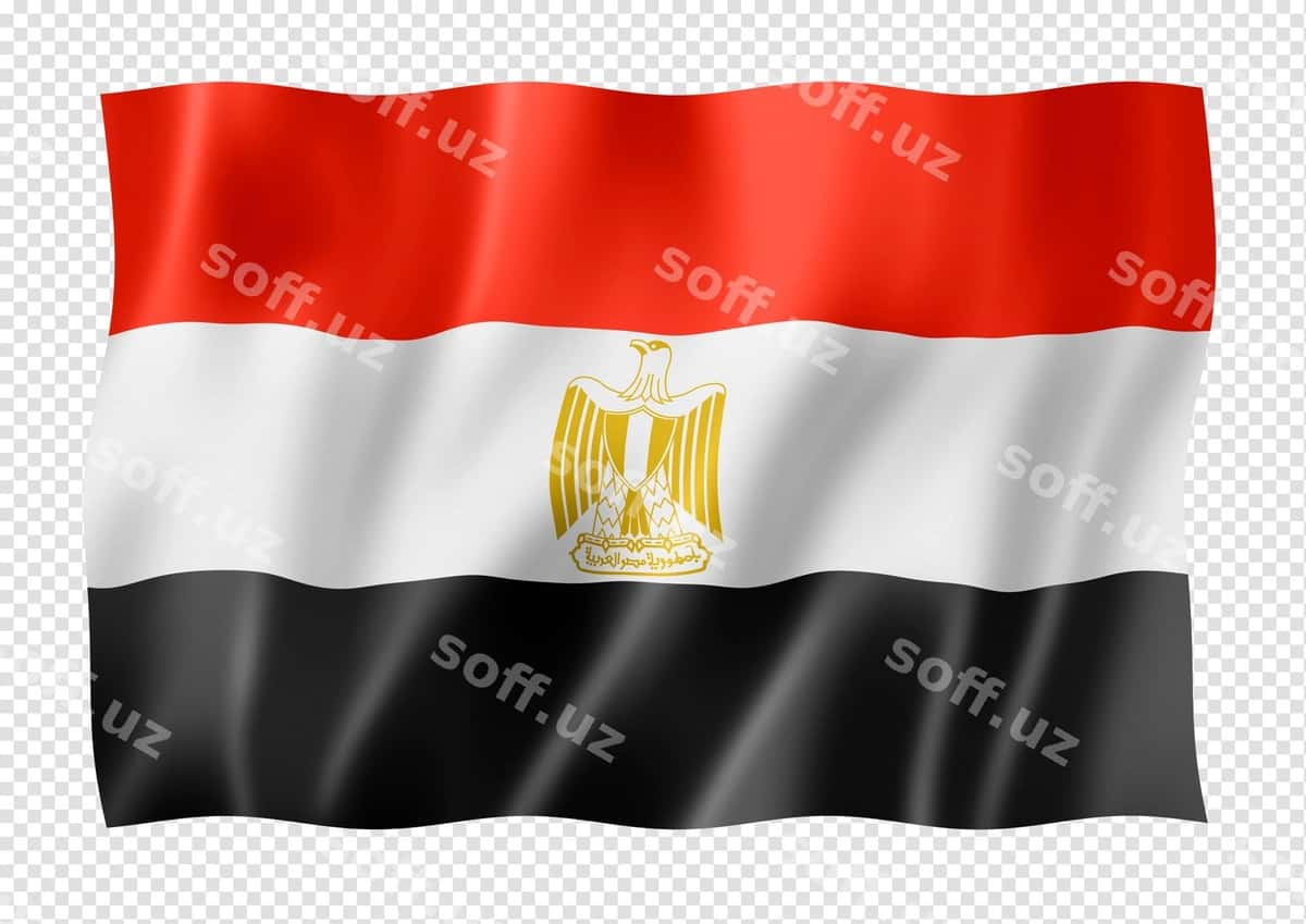 Misr bayrog'i ajraltirilgan oq | Egyptian flag isolated white 1