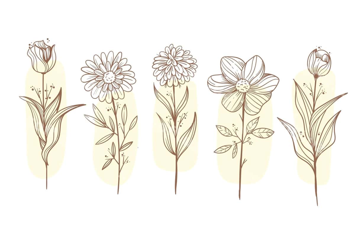 Gravür qo'lda chizilgan gullar to'plami | Engraving hand drawn flower collection 1