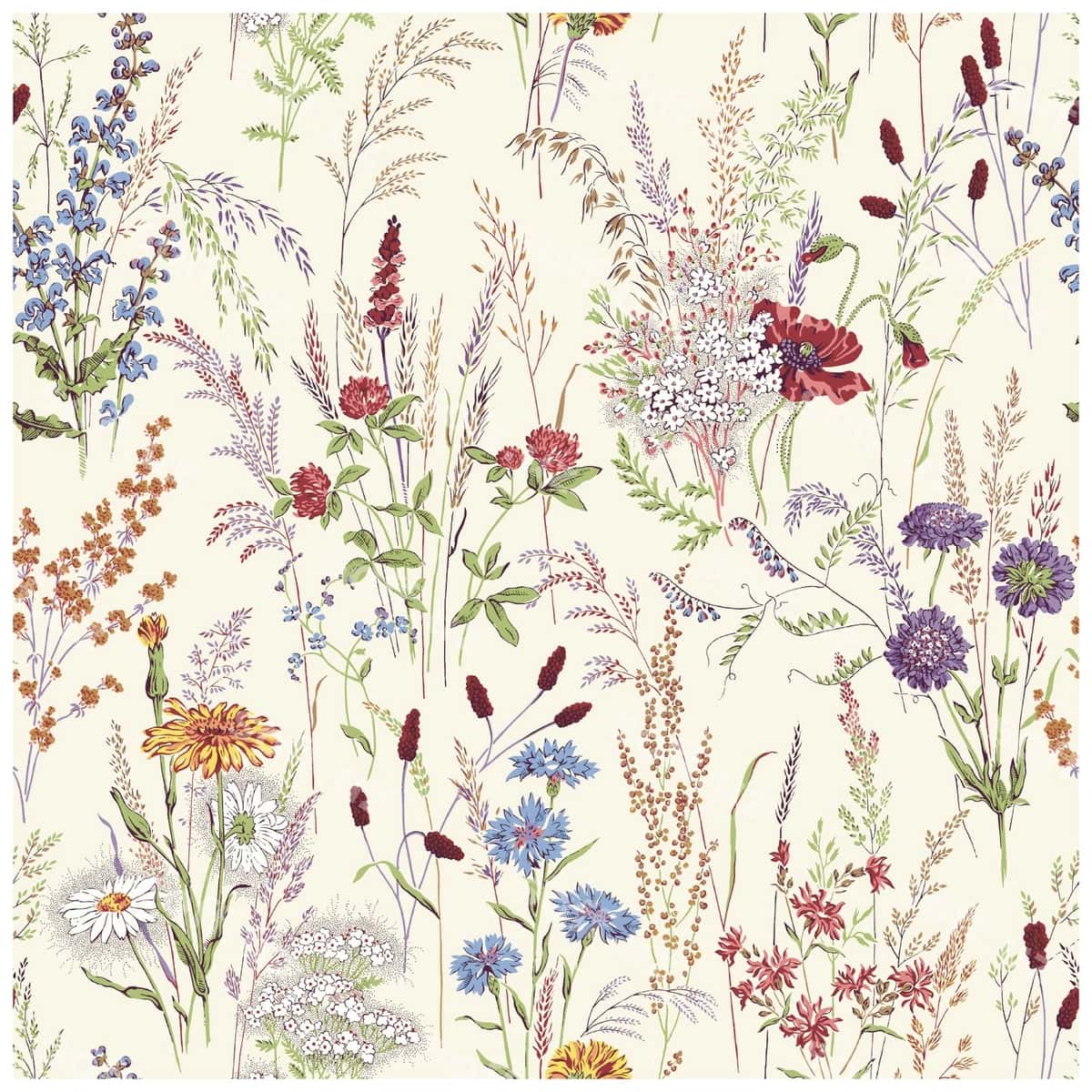 Maydon yovar gullari artist tomonidan | Field wild flowers by artist 1
