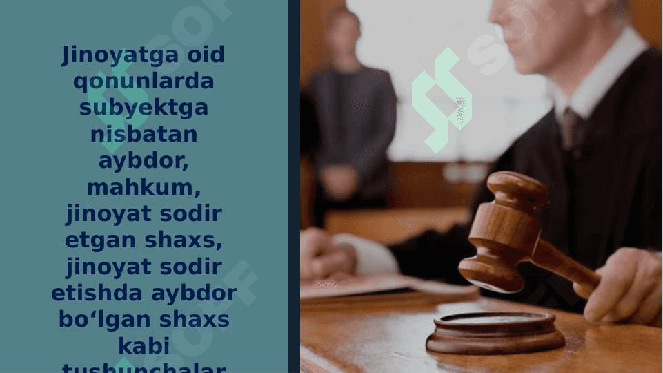 Jinoiy javobgarlik va jazo tizimi 3