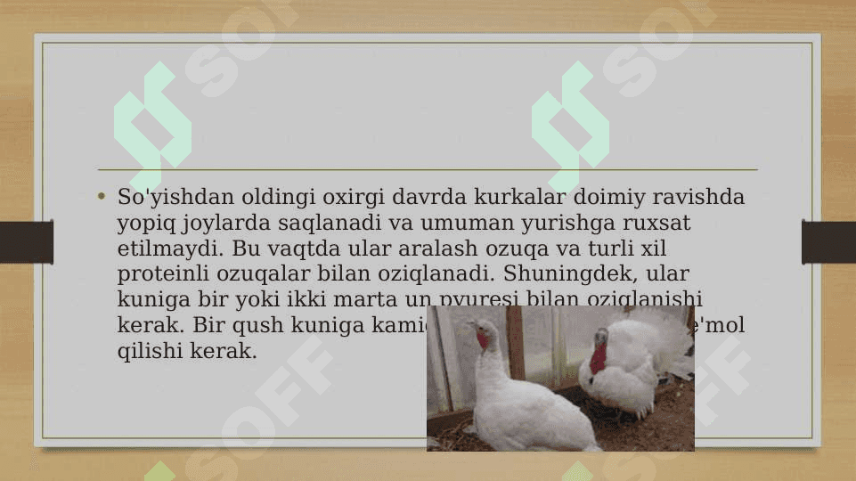 Kurkalarni oziqlantirish texnologiyalari 4