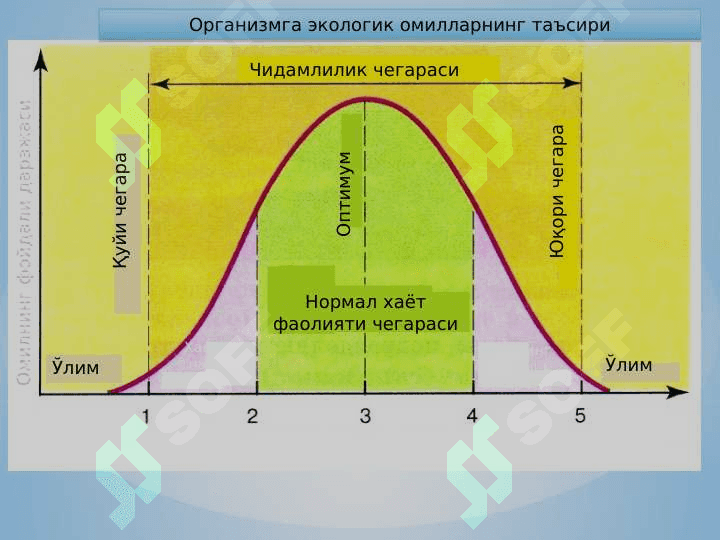 Одам экологияси ва биосфера 7