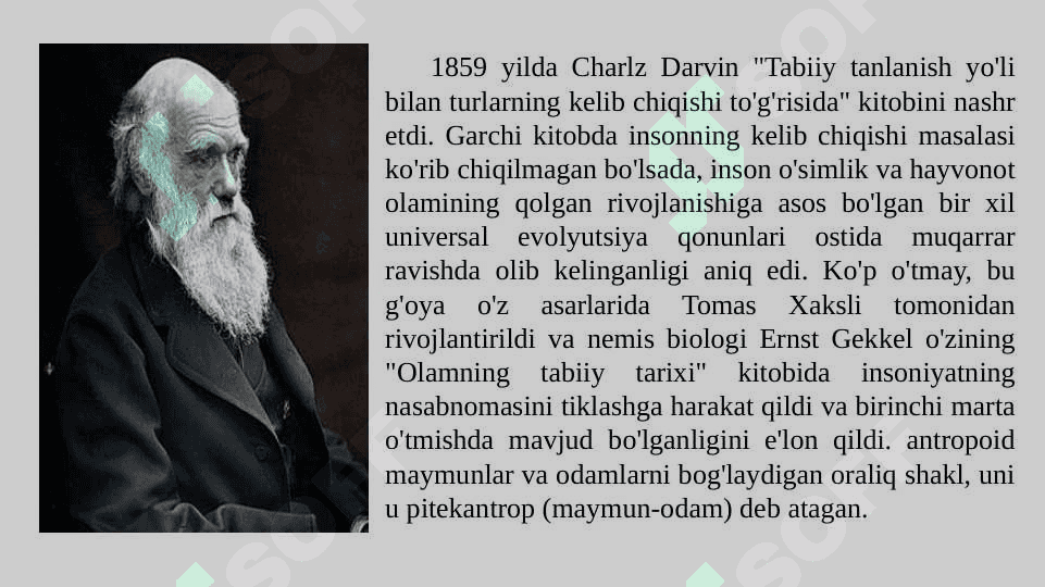 Paleontropologik va etnografik ma’lumotlarning o‘lka tarixini o‘rganishdagi ahamiyati 5