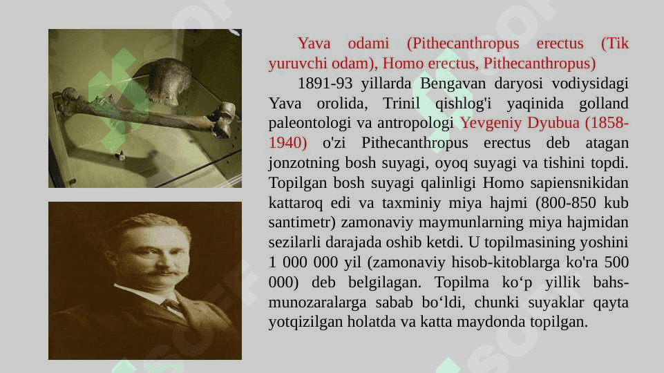 Paleontropologik va etnografik ma’lumotlarning o‘lka tarixini o‘rganishdagi ahamiyati 7