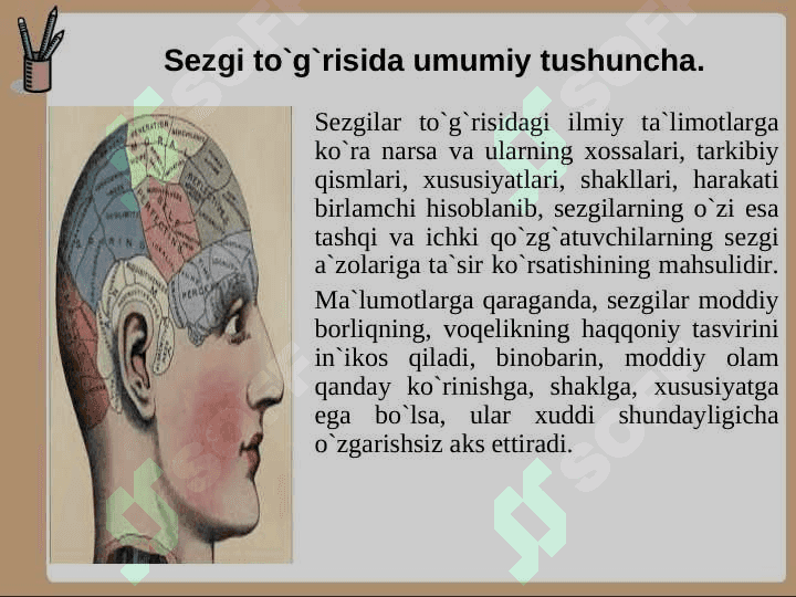 Sezgi turlari va uning xususiyatlari 3
