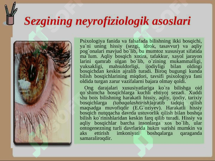 Sezgi turlari va uning xususiyatlari 6