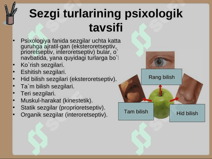 Sezgi turlari va uning xususiyatlari 8