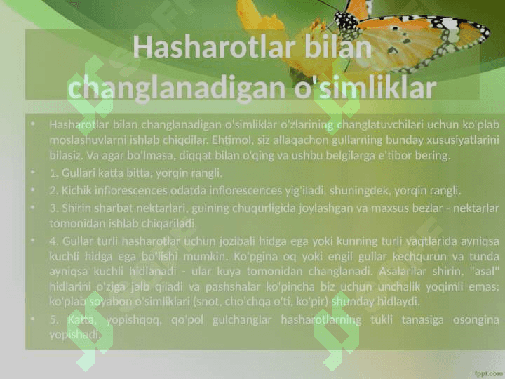 O'simliklarni changlantiruvchi hashoratlar mavzusida 4