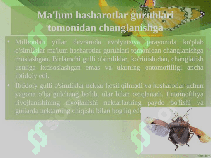 O'simliklarni changlantiruvchi hashoratlar mavzusida 5