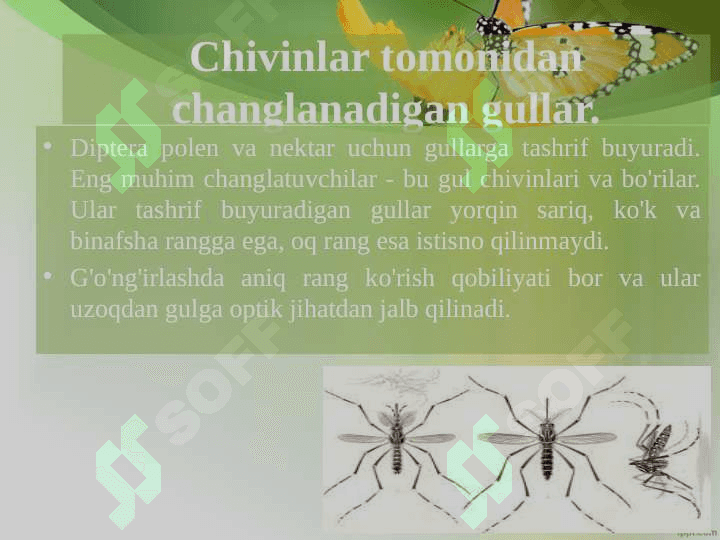 O'simliklarni changlantiruvchi hashoratlar mavzusida 7