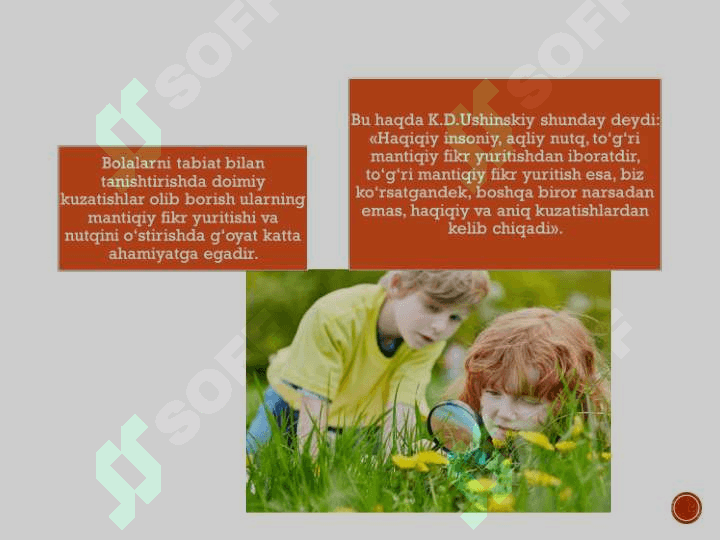 KICHIK VA O'RTA GURUHLARDA TABIATNI KUZATISH ISHLARINI  TASHKIL ETISH MAZMUNI 6