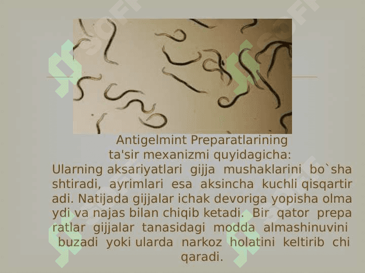 Gijjalarga qarshi qori vositalar 4