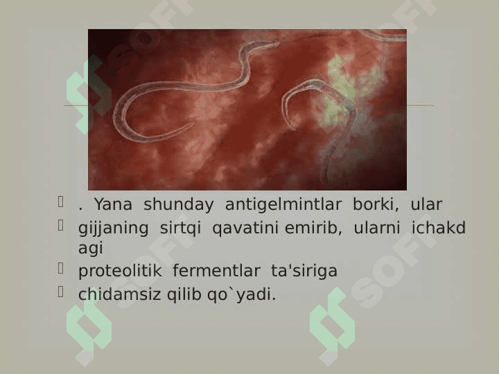 Gijjalarga qarshi qori vositalar 5