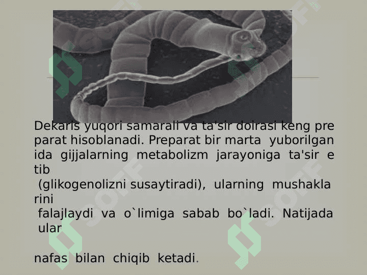 Gijjalarga qarshi qori vositalar 7