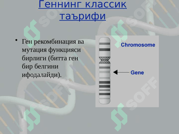 Gen va gen kontseptsiyasi haqida tushuncha. 5