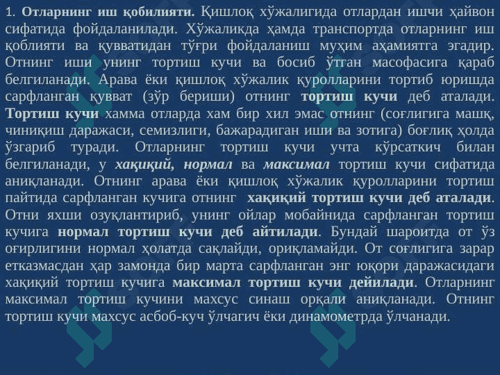 Yilqichilik vа tuyachilik 6