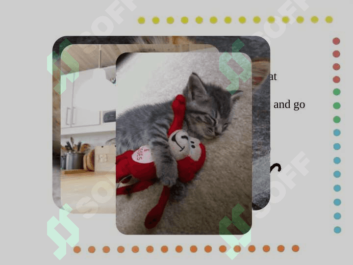 animals lovers 3