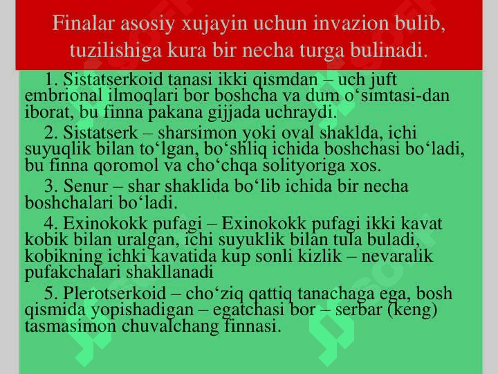 Tasmasimon chuvalchanglar sinfi 4