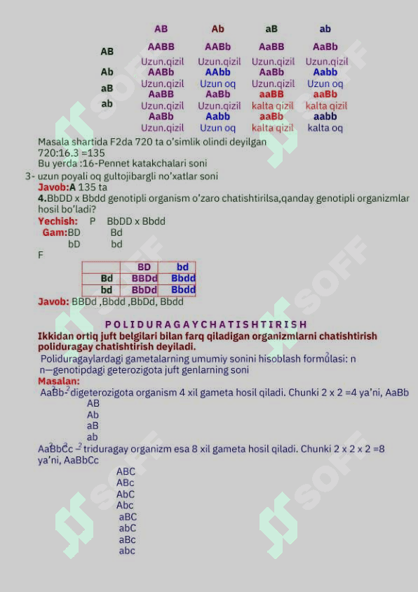 Genetikadan masalalar yechish 7