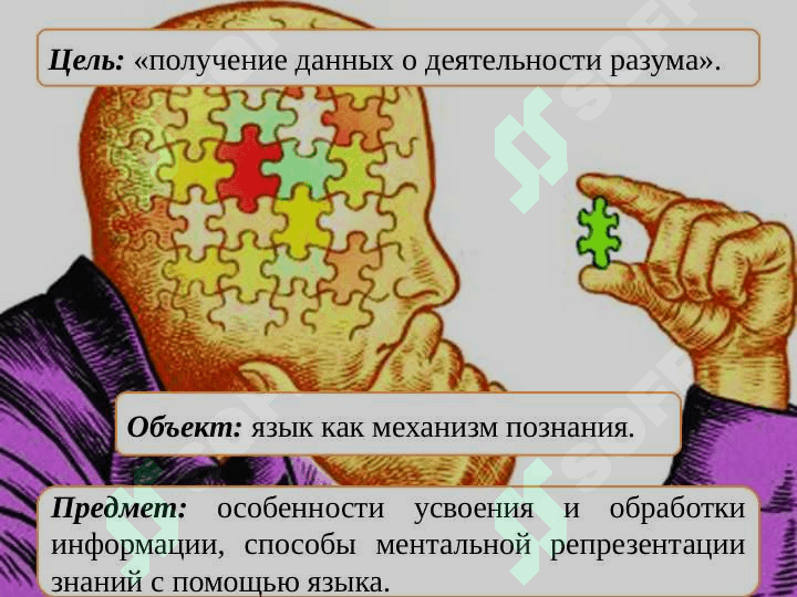 Когнитивная лингвистика 6