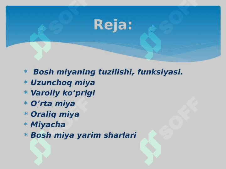 Bosh miyaning tuzilishi 2