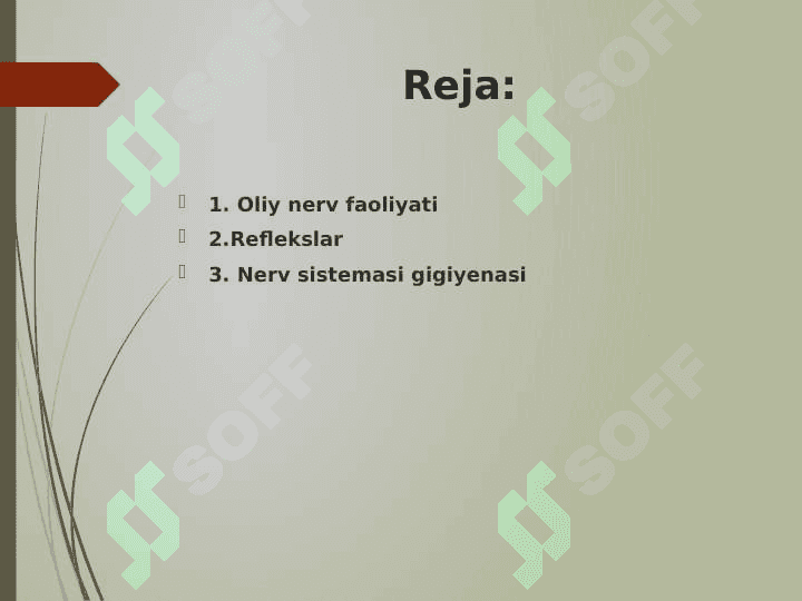 Nerv tizimining ahamiyati. 2