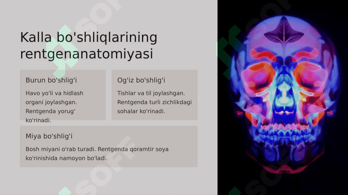 Kalla suyaklarining rentgenanatomiyasi 7