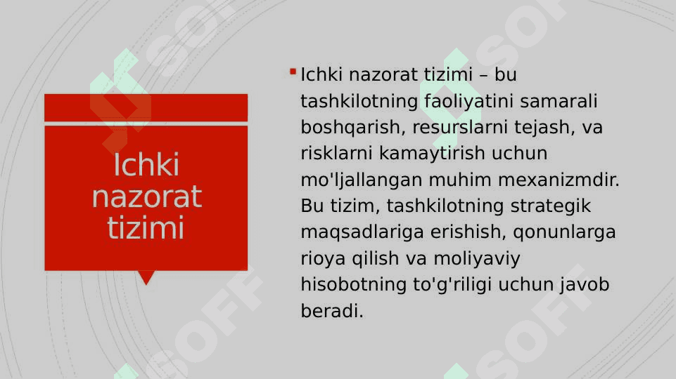 Ichki nazorat tizimining mohiyati va uning elementlari 3