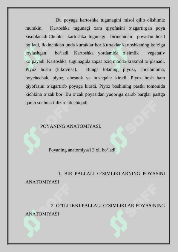 ILDIZ,POYA,BARG METAMARFOZ 6