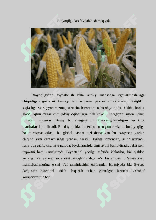 BIOETANOL OLISH TEXNOLOGIYASI 2