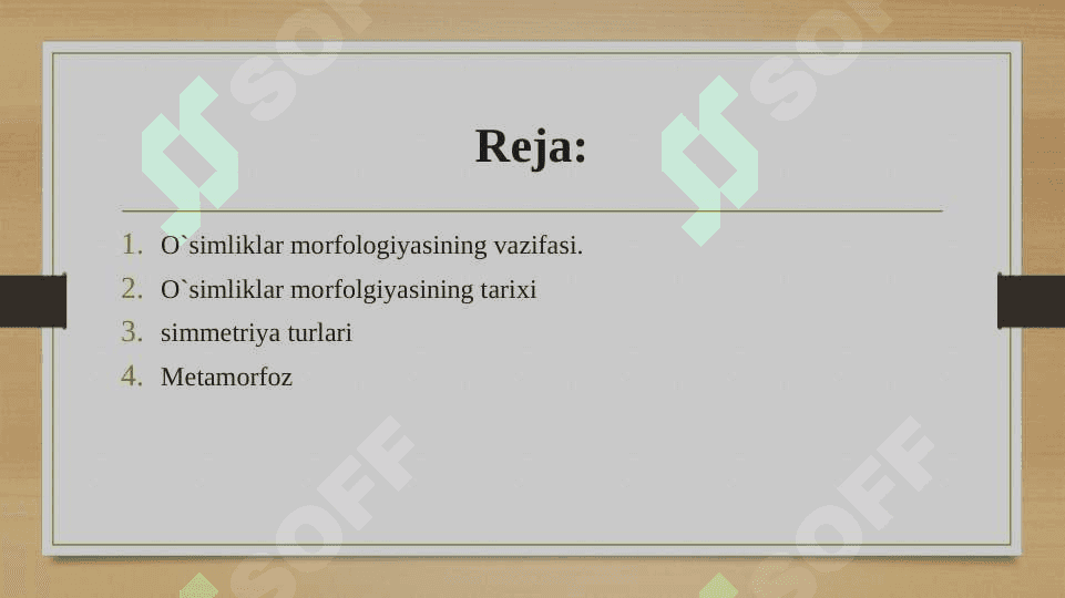 Asosiy morfologik qonuniyatlar: simmetriya turlari, metamorfoz. 2
