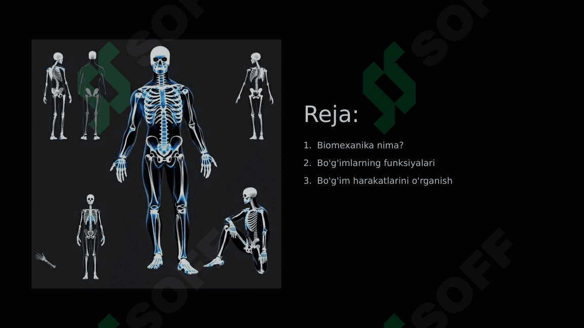 Bo'g'imlarning biomexanikasi 2