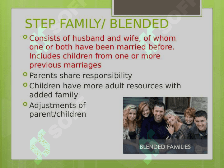 Types of Families 5