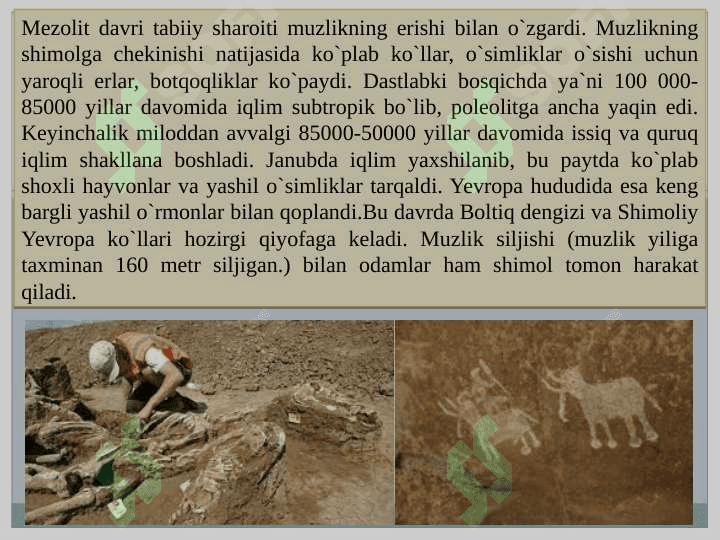 Mezolit, davri lokal madaniyatlari. 4