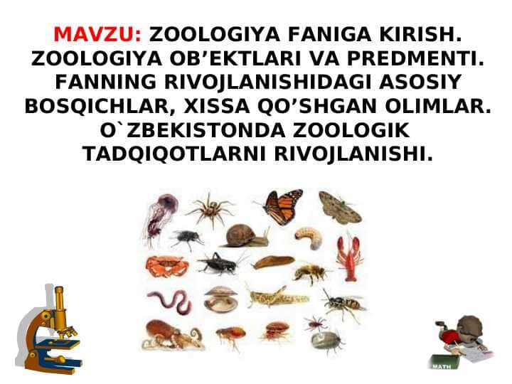 ZOOLOGIYA FANIGA KIRISH. ZOOLOGIYA OB’EKTLARI VA PREDMENTI.FANNING RIVOJLANISHIDAGI ASOSIY BOSQICHLAR, XISSA QO’SHGAN OLIMLAR.