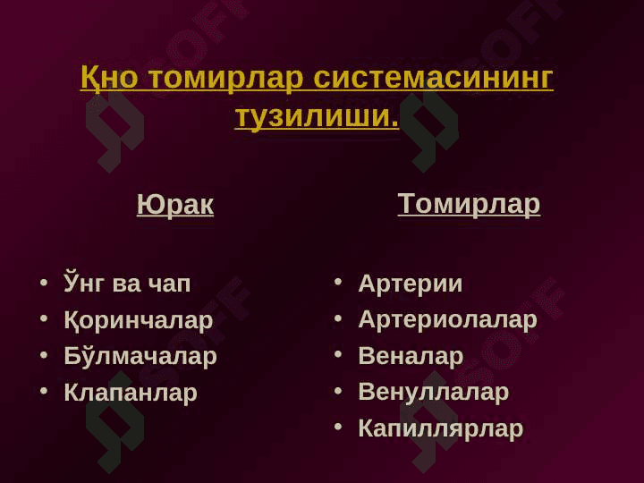 Qon aylanish fiziologiyasi 5